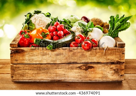 Wooden crate of farm fresh vegetables with cauliflower, tomatoes, zucchini, turnips and colorful sweet bell peppers on a wooden table outdoors in sparkling sunlight on greenery Royalty-Free Stock Photo #436974091