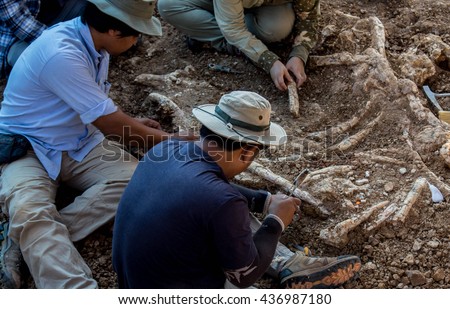  paleontologist dig dinosaur  skeleton real fossil in sedimentary rock Royalty-Free Stock Photo #436987180