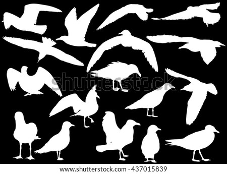 illustration with gull silhouette collection on black background