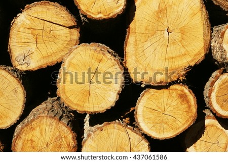 a stack of oak wood - wooden background