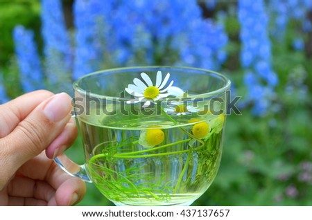 Tea with chamomile