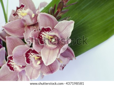 Light pink orchid bouquet