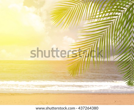 Coconut palm trees with sky background