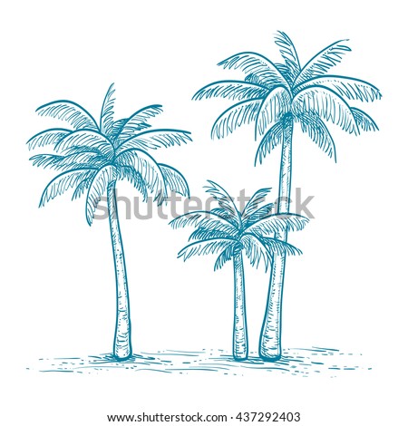 Hand drawn vector illustration of palm trees  isolated on white background. Sketch. Retro style.