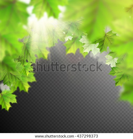 Summer leaves template on transparent background. EPS 10 vector file included