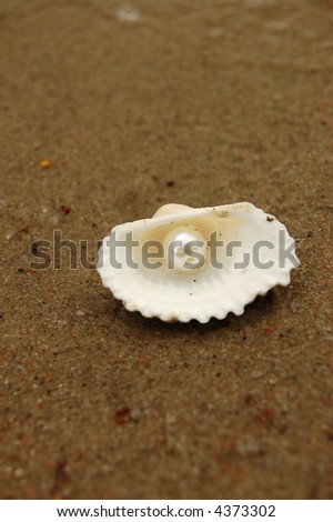 Pearl in shell Royalty-Free Stock Photo #4373302