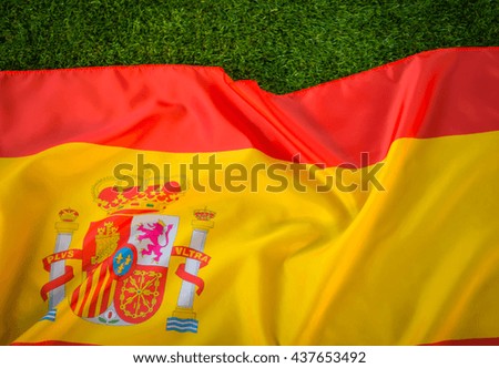 Flags of  Spain on green grass