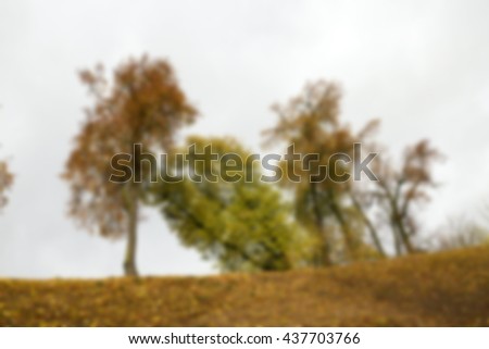   photographed trees and foliage in the autumn, the location - a park, defocus