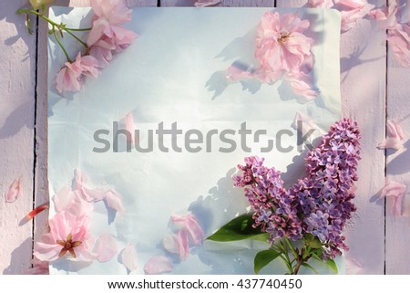 Beautiful, Spring floral background with Japanese cherry blooming flowers