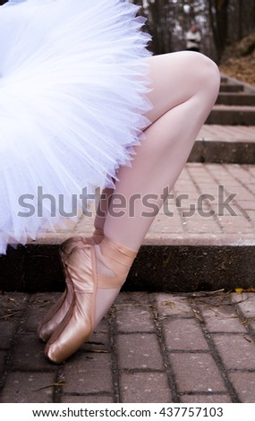 Girl in pointes.Beautiful ballet pose..ballerina in a tutu