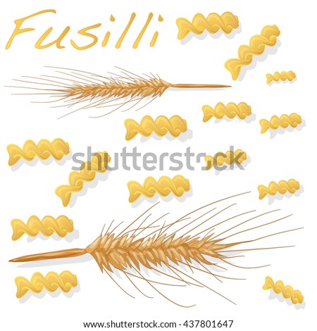 fusilli pasta vector illustration isolated