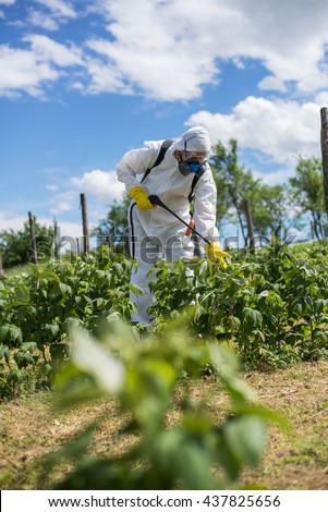 Man spraying chemicals on his raspberry field,colored and under exposed photo