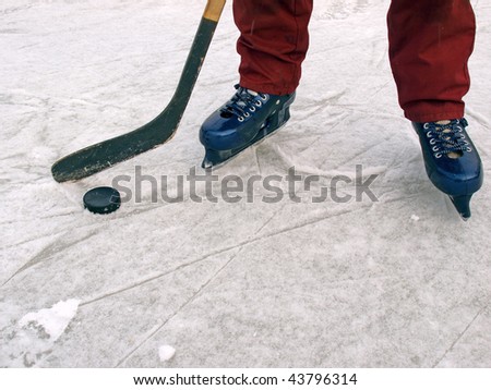 Hockey on the country pond, details close up