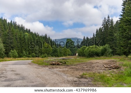 Forest meadow clearing log road wood Royalty-Free Stock Photo #437969986