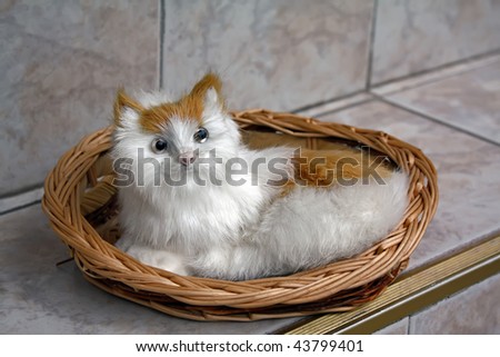 kitten in the basket. cat in the wooden basket.