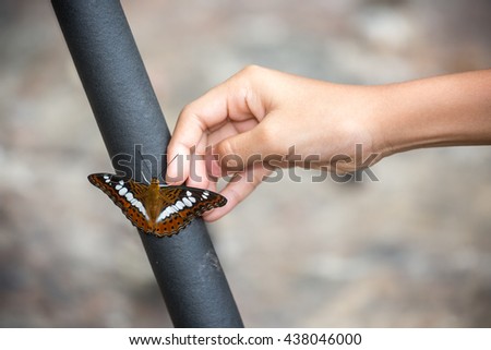 Beautiful butterfly sitting on camera tripod