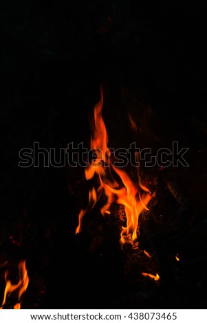 Flames in a bonfire on black background