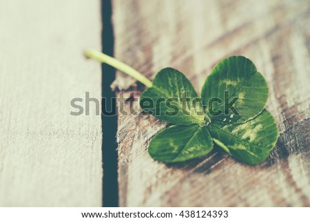 Green clover leaf on wooden background, close up