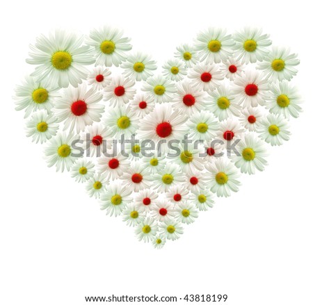 Big heart made of white flowers