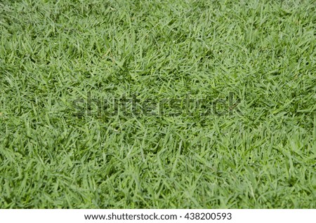 green grass turf stadium floor texture background