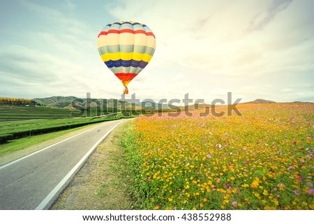 vintage of Hot air balloon over cosmos flowers with blue sky 