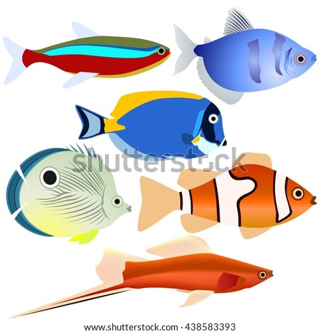 Collection of aquarium fish. The illustration on a white background.