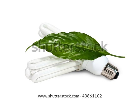 fluorescent lamps and green leaf  isolated on a white background