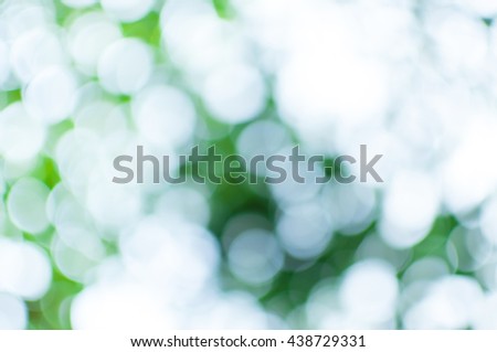 Abstract nature green and white bokeh from tree background,for background