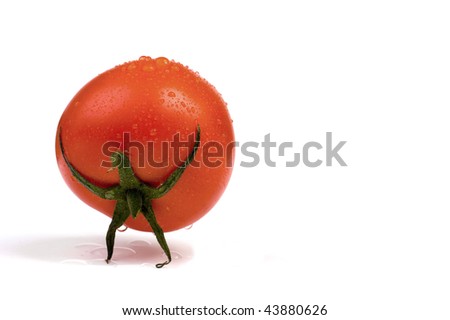 Funny picture of a tomato standing like Atlas, isolated on white