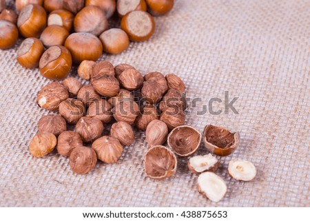 fresh hazelnuts photo illustration