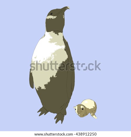 Drawing vector isolated Emperor penguin - aptenodytes forsteri - with a baby