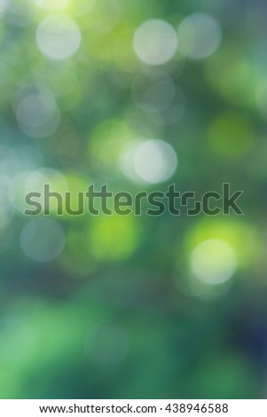 Abstract natural green bokeh out of focus background