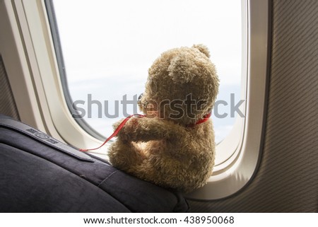 Bear sits by the window of the aircraft