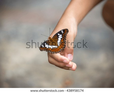 Beautiful butterfly sitting on the hand and finger