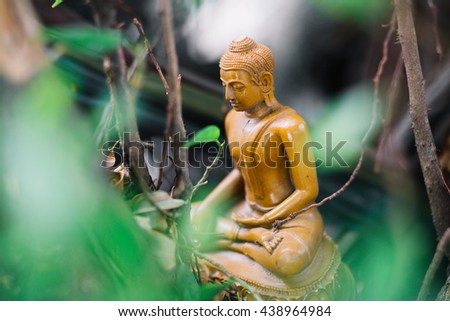 Golden Buddha in the Forest.