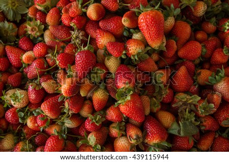 Summer strawberries, red, fresh and raw, Dominican Republic, region Constanza Royalty-Free Stock Photo #439115944