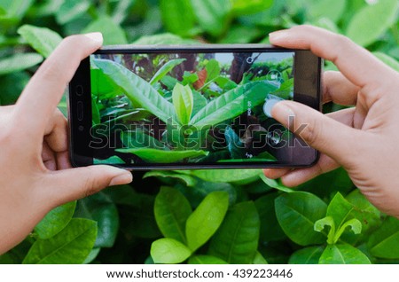 Taking picture with green plant