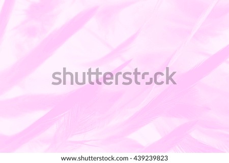 soft pink vintage color trends chicken feather texture background