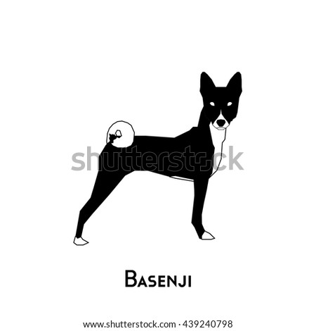 Isolated silhouette of a cute Basenji dog on a white background