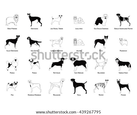 Set of silhouettes of different dog breeds on a white background