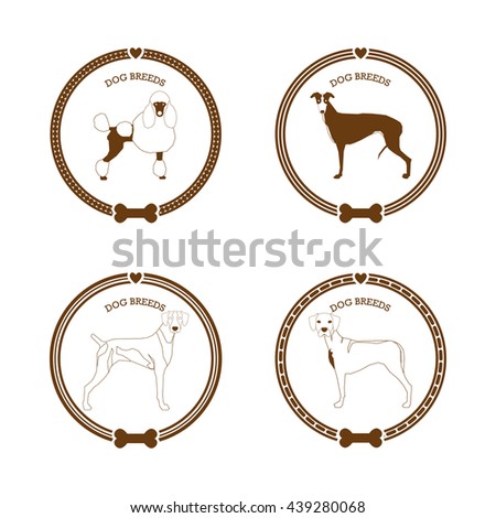Set of stickers with different dog breed illustrations and text