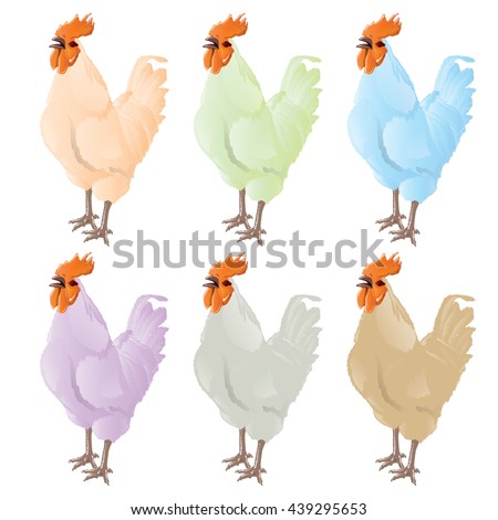 rooster vector