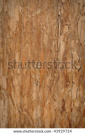 Textured Wood Background which can be used to add text