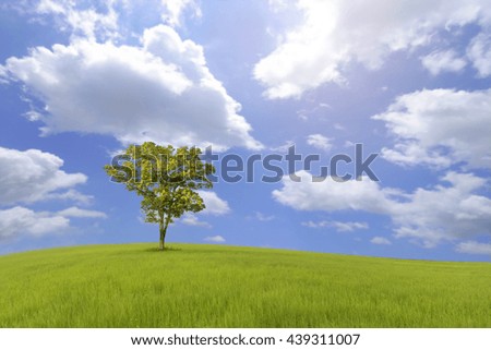 Green landscape with tree
