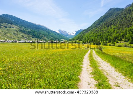 Dirt country road crossing flowery meadows, mountains and forest in scenic alpine landscape and moody sky. Summer adventure and roadtrip at Ceillac village in Queyras Regional Park, French Alps.