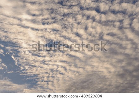 Altocumulus cloud on evening, middle cloud. Select focus