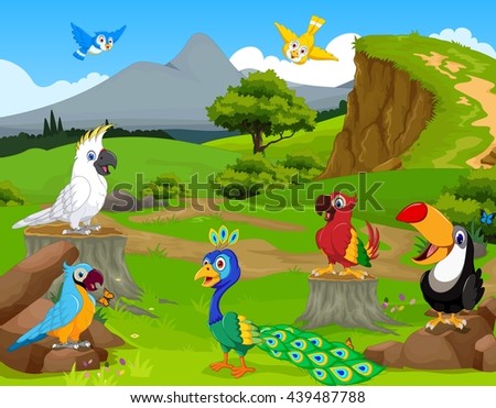 funny different kind of birds cartoon the jungle with landscape background