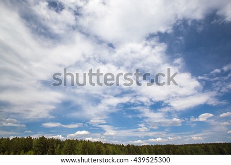 cloudy sky over forest