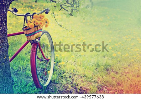 Vintage Bicycle with flowers on landscape background (toned picture) 
