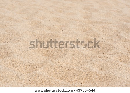 Beach sand closeup on summer day